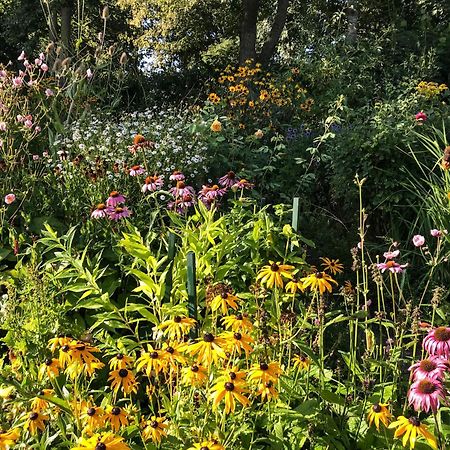 Gartenhaus Frieda Galmsbull Esterno foto
