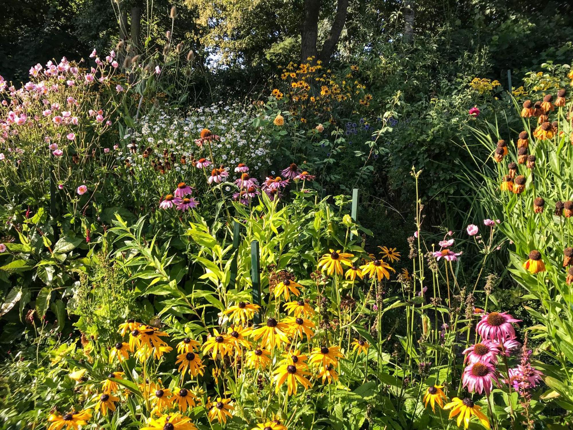 Gartenhaus Frieda Galmsbull Esterno foto
