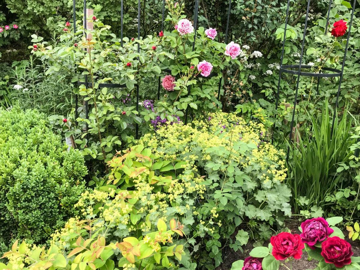 Gartenhaus Frieda Galmsbull Esterno foto